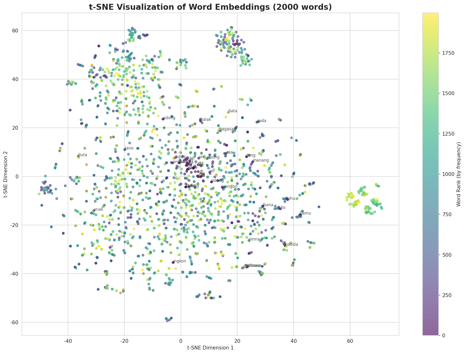 t-SNE Words