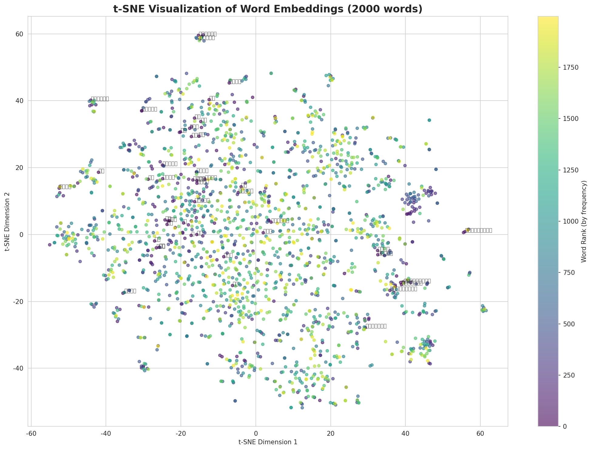 t-SNE Words