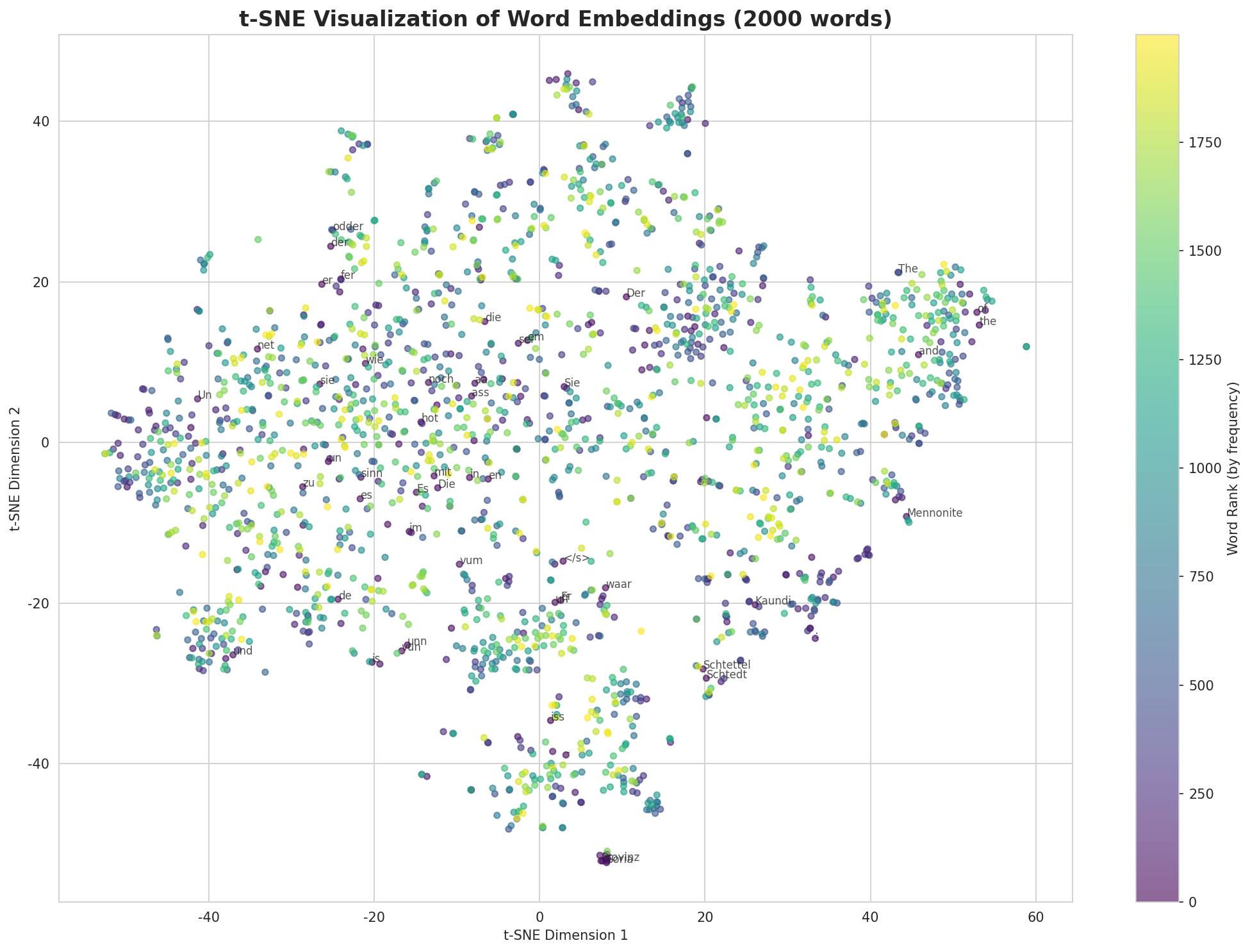 t-SNE Words